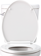 toliet fix and replacement
